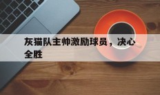 灰猫队主帅激励球员，决心全胜的简单介绍