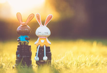 雷恩队喜迎胜利，挺进欧冠淘汰赛阶段