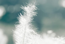 坦桑尼亚女足士气高昂，战胜对手