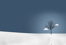 河北华夏幸福主场逼平北京国安，争抢积分