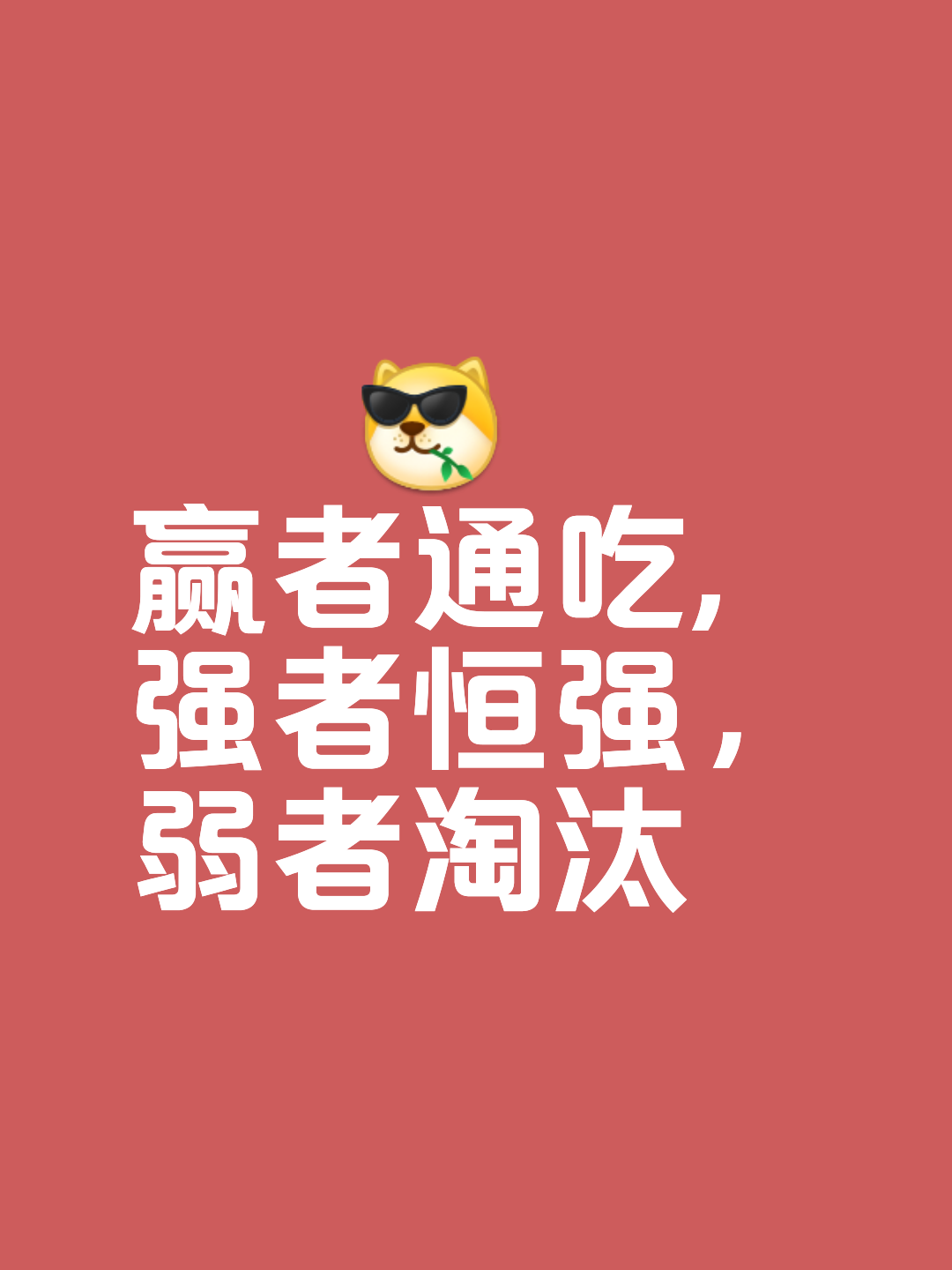 竞争激烈的对决,胜利者屹立不倒 竞争激烈的对决,胜利者屹立不倒
