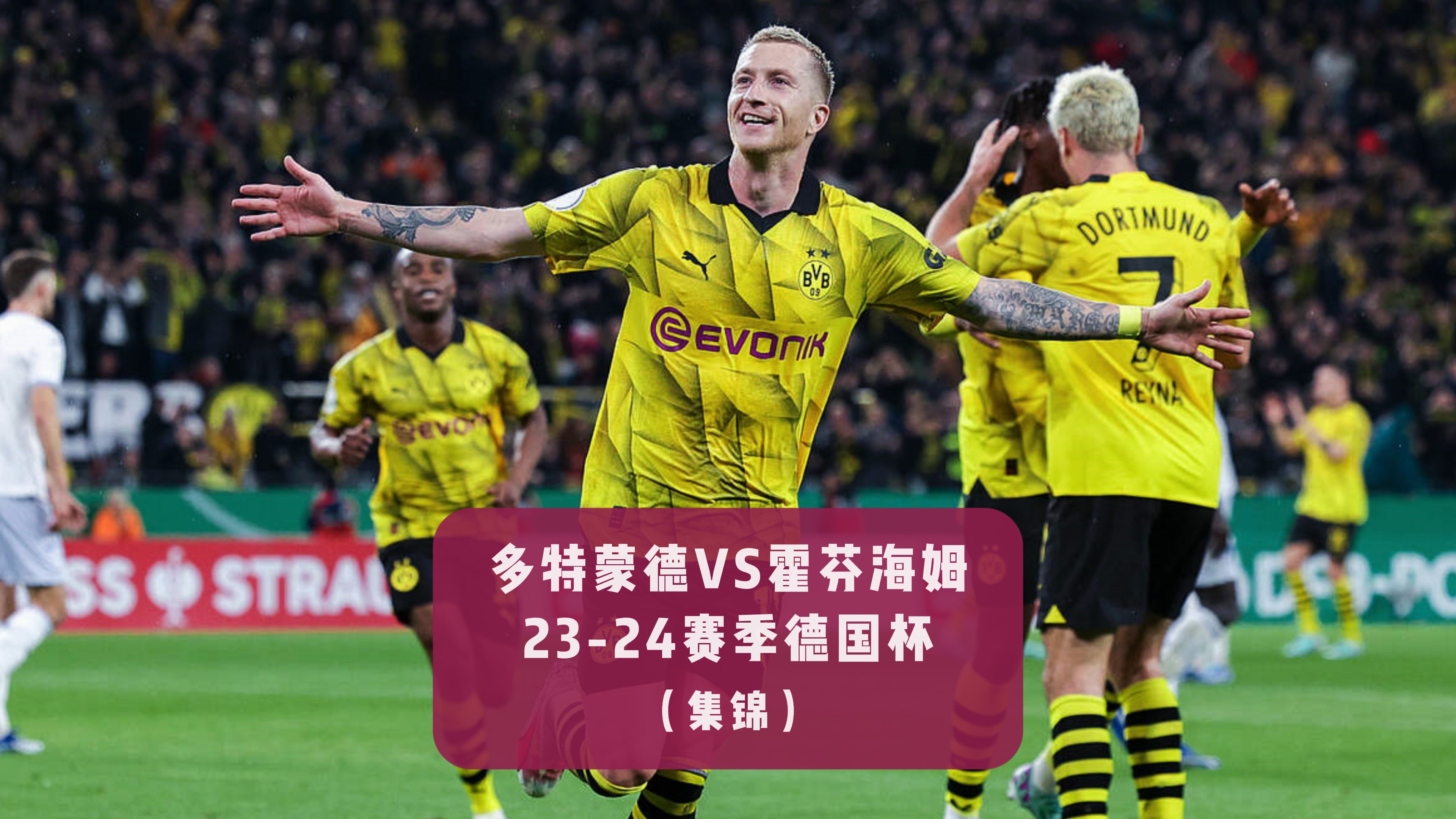 包含霍芬海姆主场取胜，球队实力得到认可稳步前行的词条